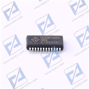 HC89F0531-SSOP24-T-M